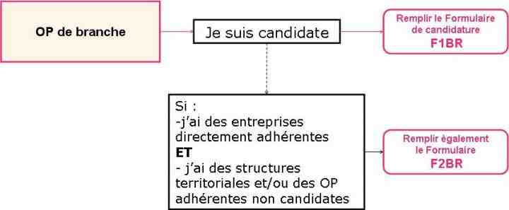 Candidature branche - Les formulaires à remplir